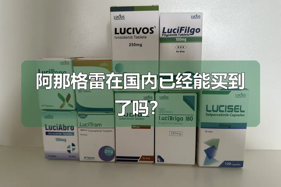 阿那格雷在国内已经能买到了吗?